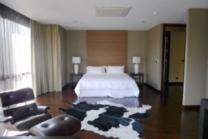 gallery_02_big