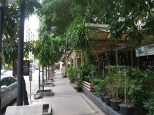 p1160295